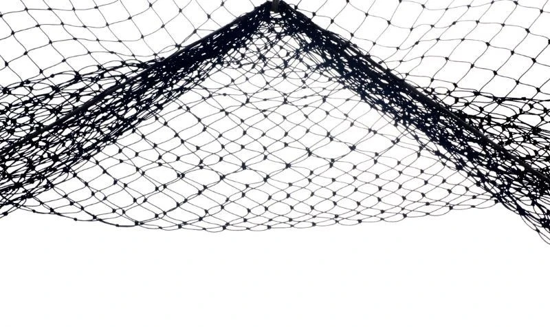 hair net2 hair net2